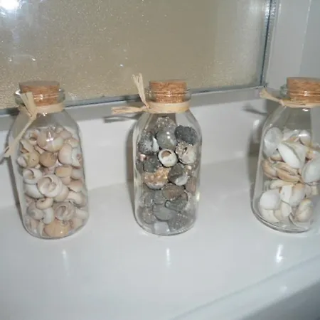 아파트 Halte71 잔드보르트