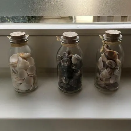 아파트 Halte71 잔드보르트