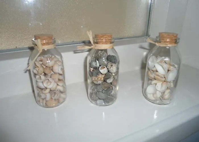 Apartment Halte71 Zandvoort