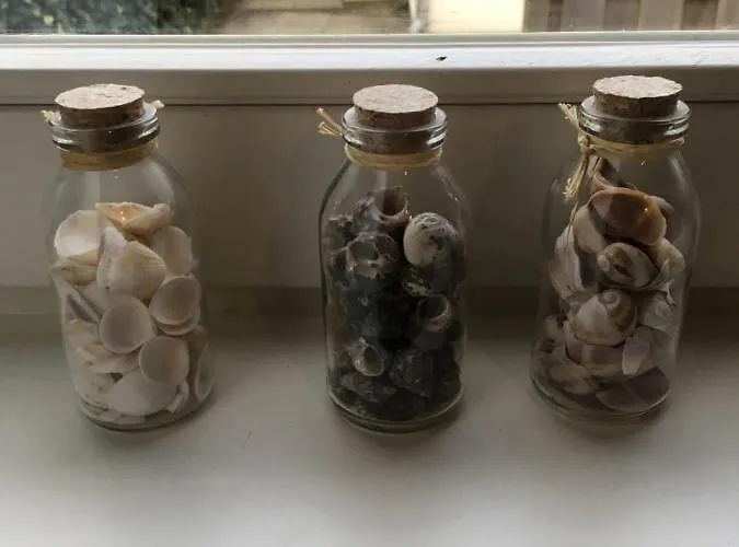 Apartamento Halte71 Zandvoort